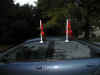 Flags on car.JPG (156900 bytes)